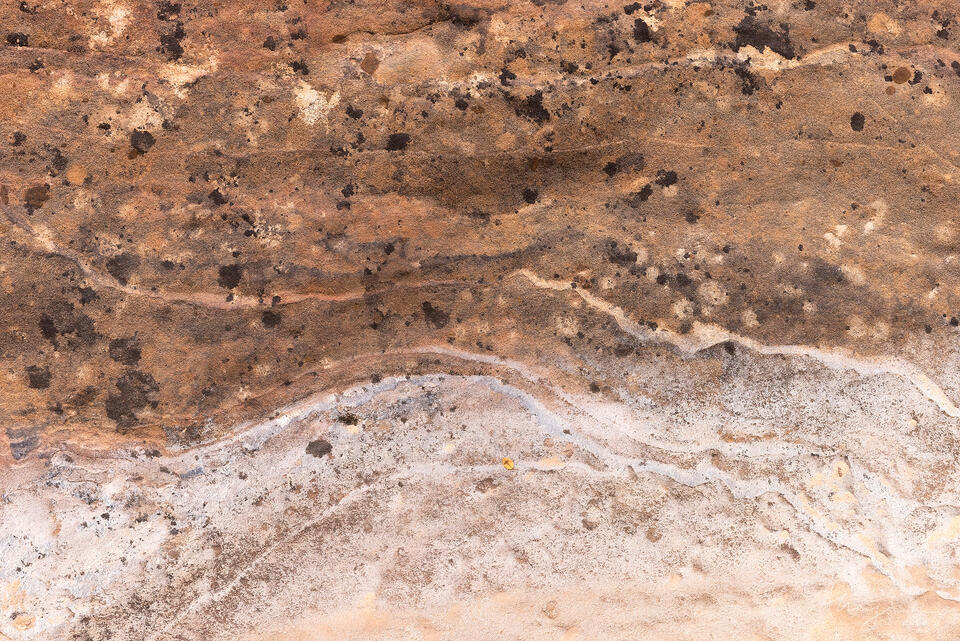 Tidelines print