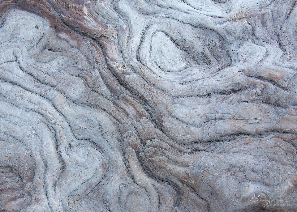 Traces of Blue print