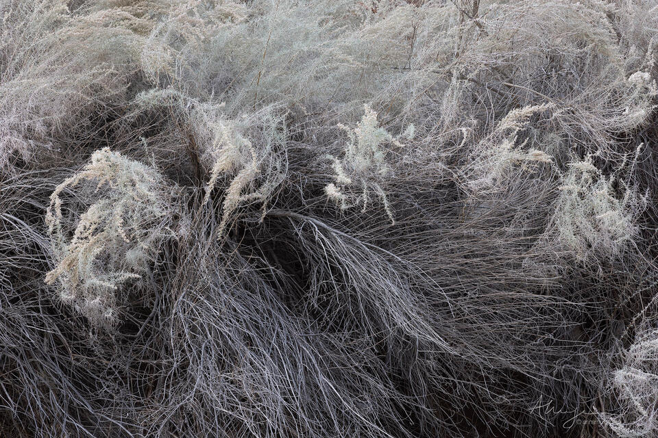 Tumultuous print