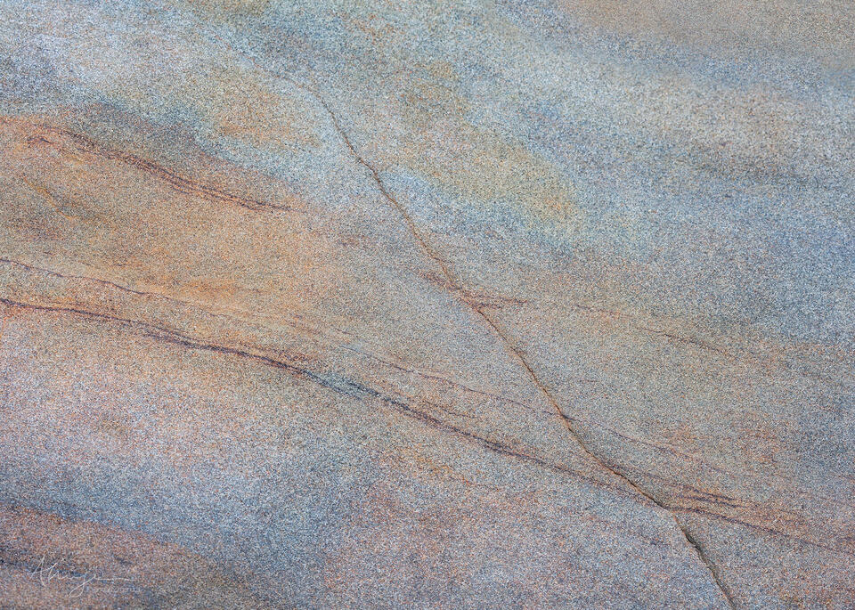 Where Paths Cross print