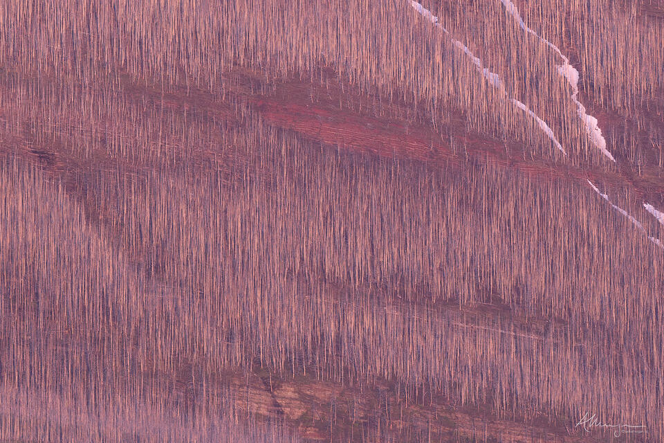 Along the Lines print