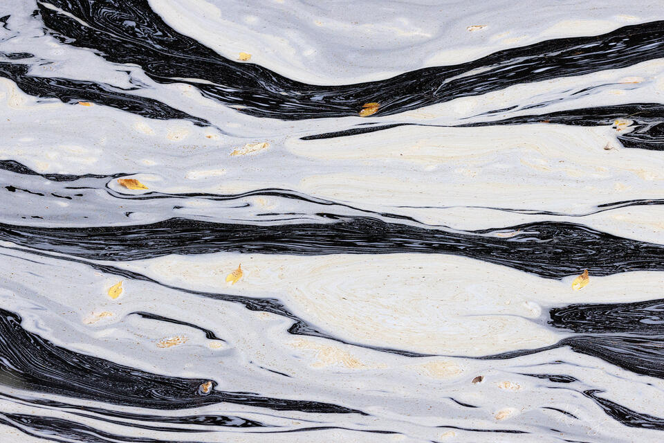 Cookies and Cream print