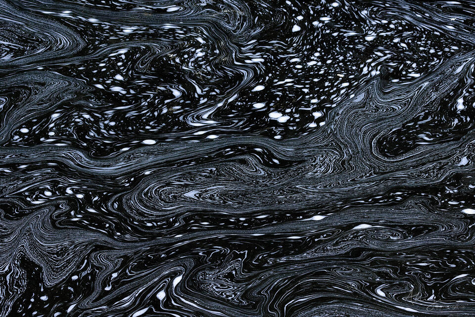 Dark Wind print