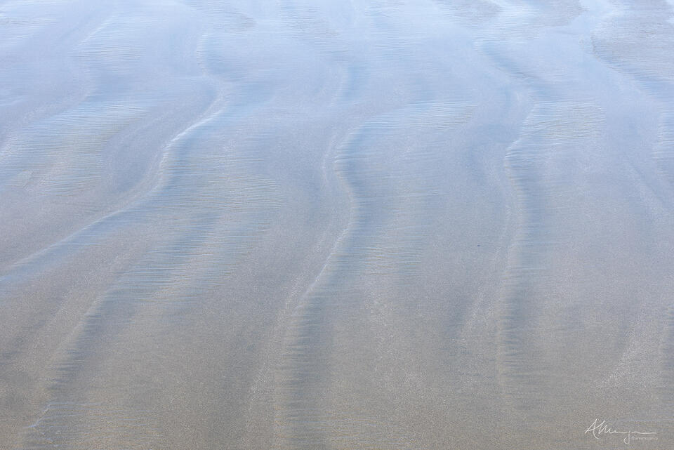 Dissipate print