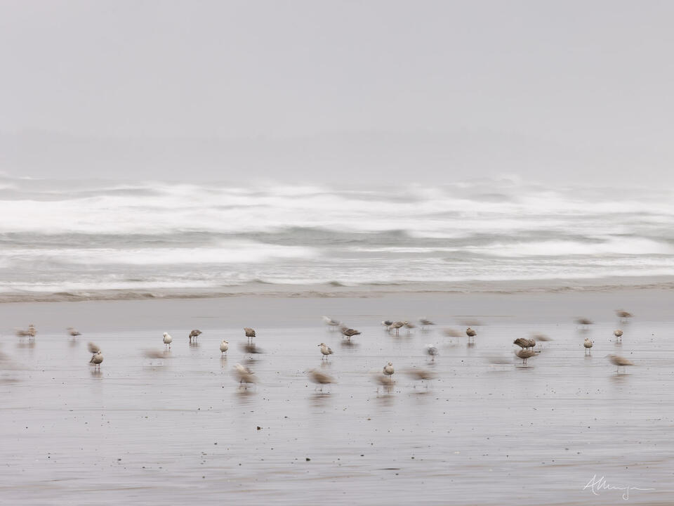 Echoes Of The Waves print