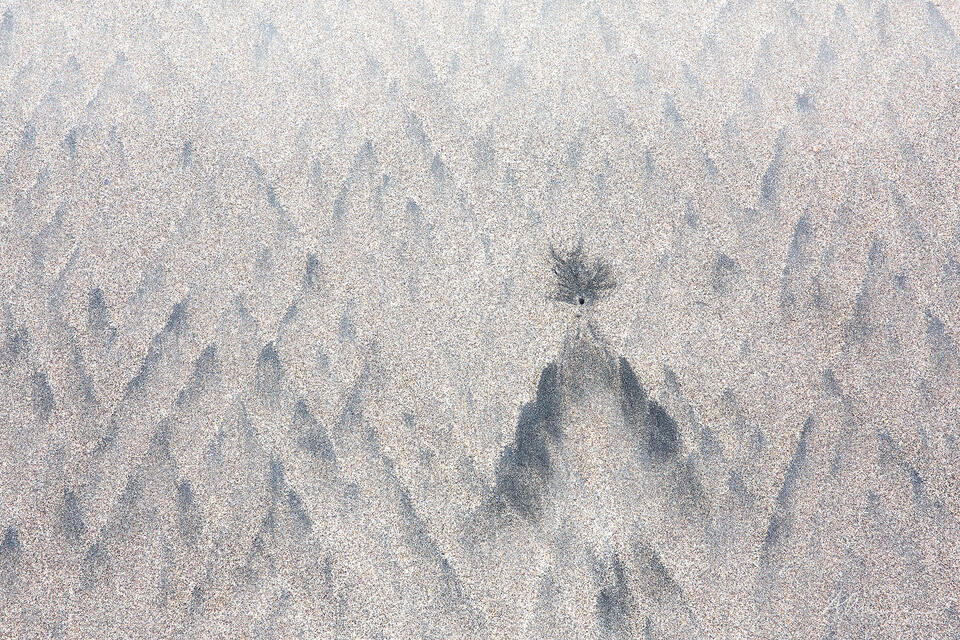 Eruption print