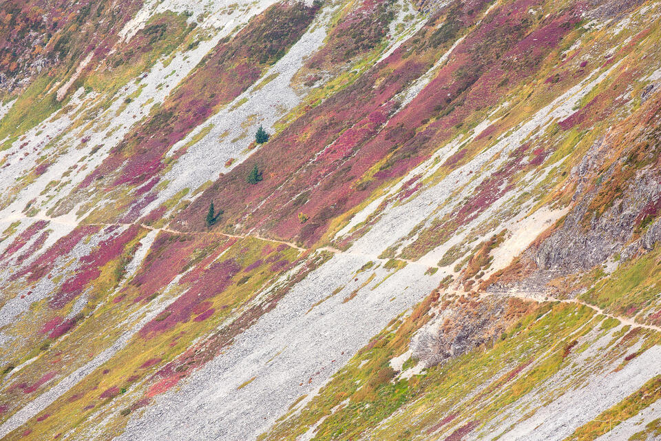 Escarpment print