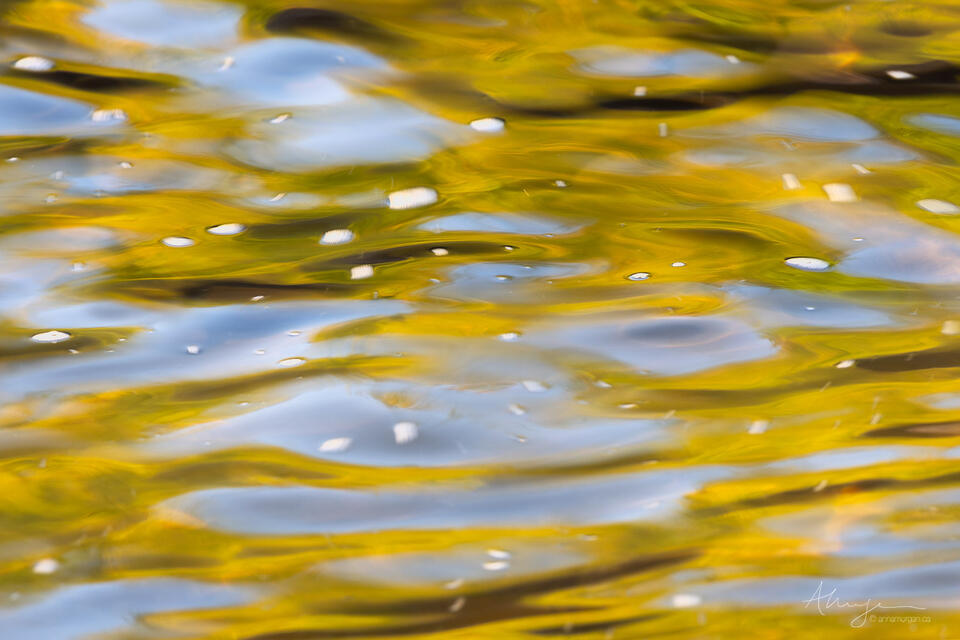 Fleeting print