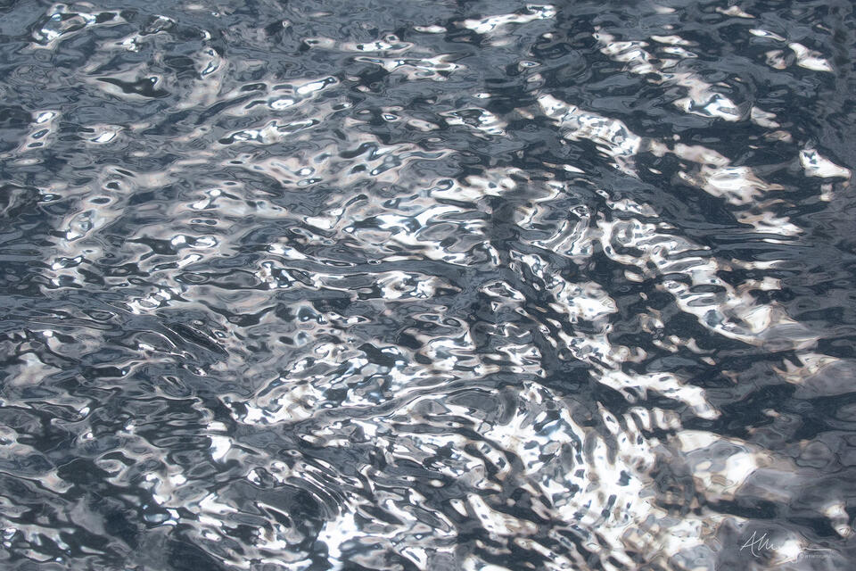 hydrargyrum print