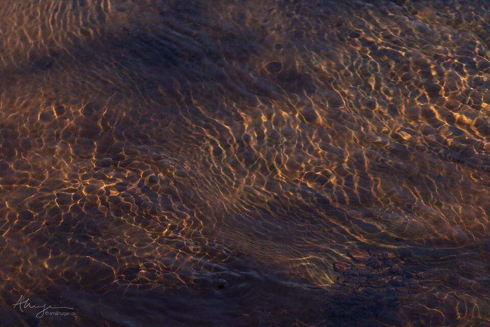 Interlude print