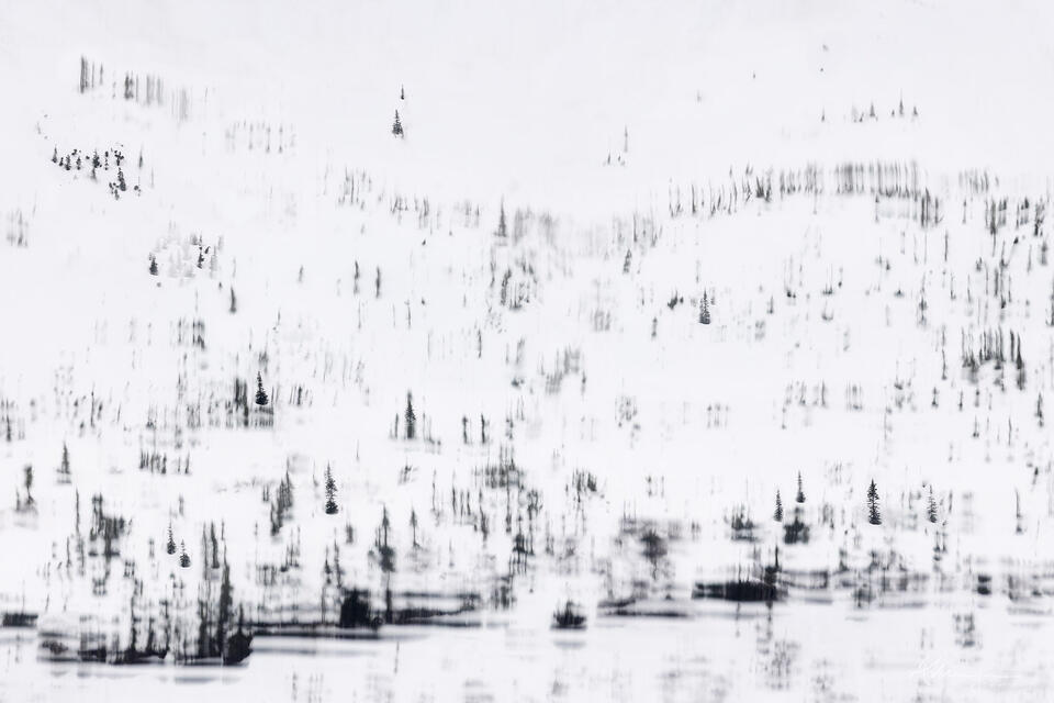 Left Standing print