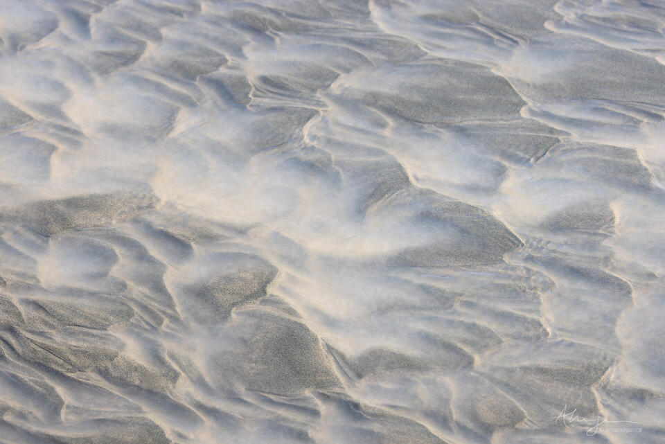 Muddied Waters print