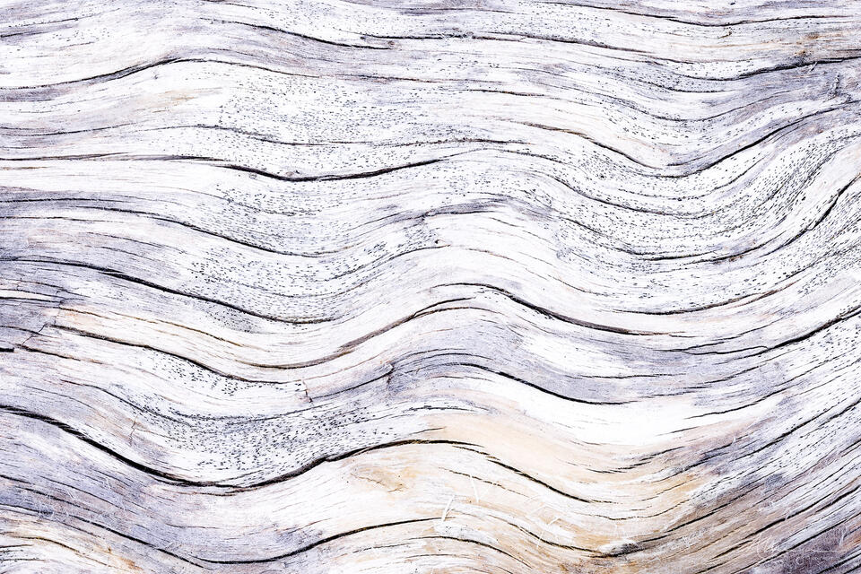 Of Wood and Waves print