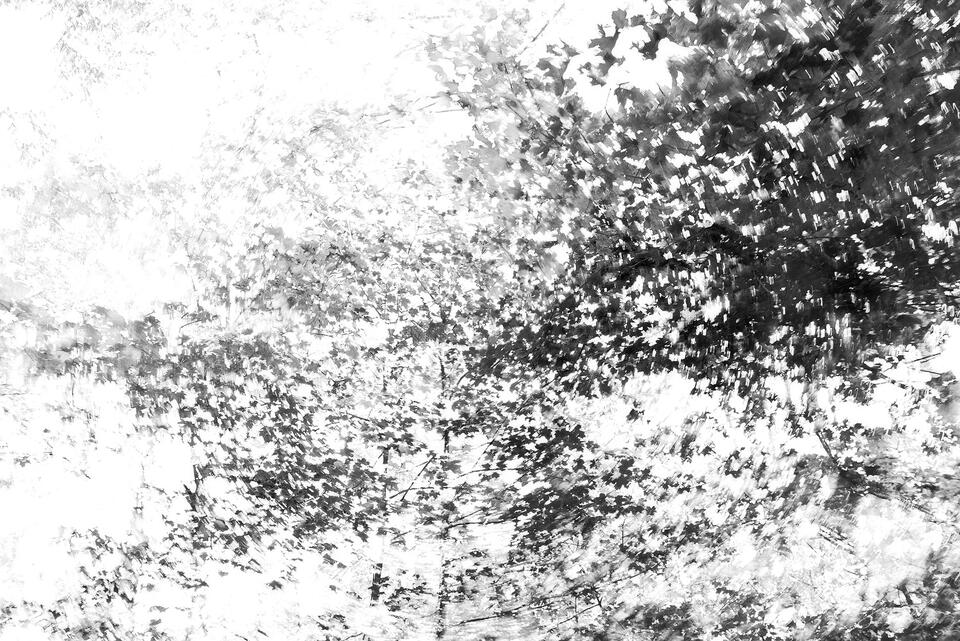 Restless Dreams print