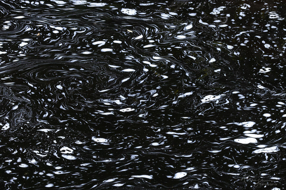 Silent Thunder print