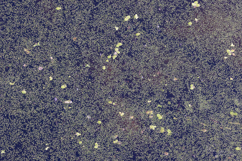 The Unknown print