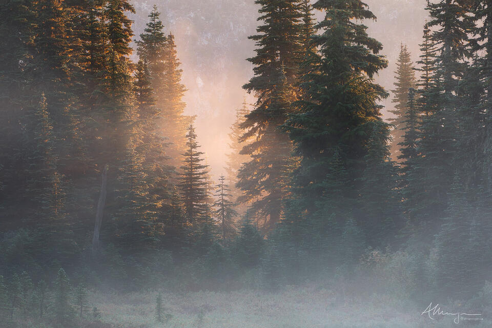 Warmth of Spirit print