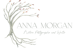 Anna Morgan Photography