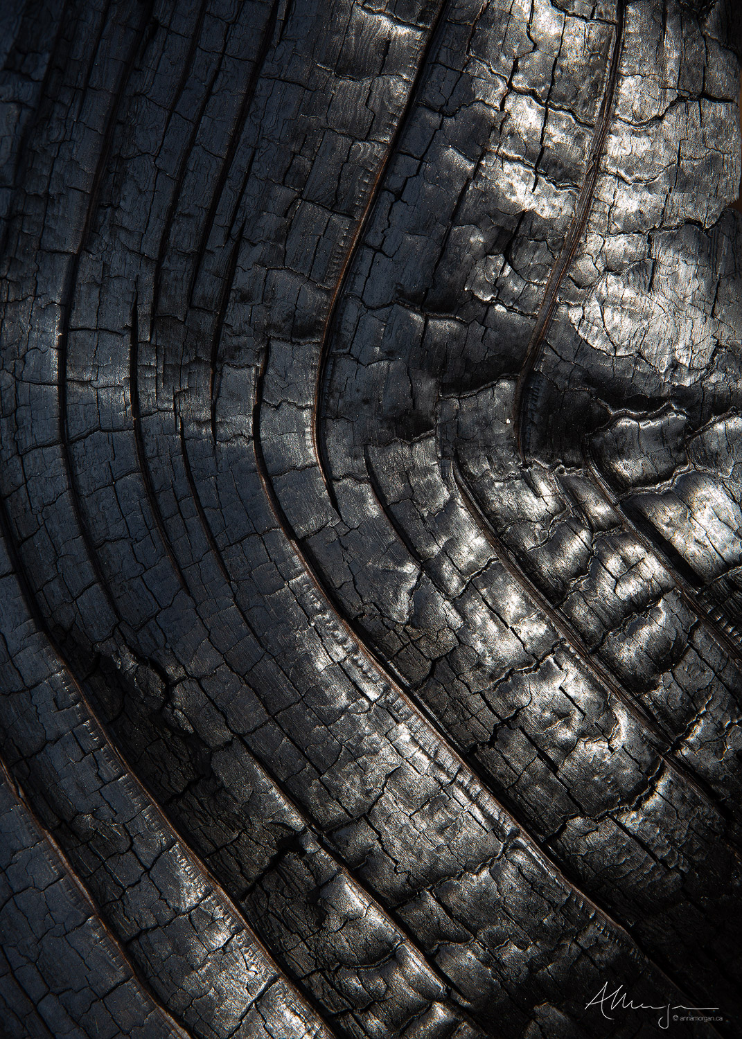 Charred