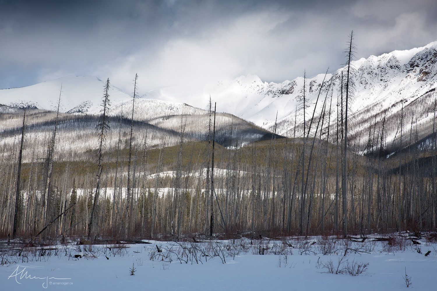 Dappled light over the Rocky Mountains, Alberta