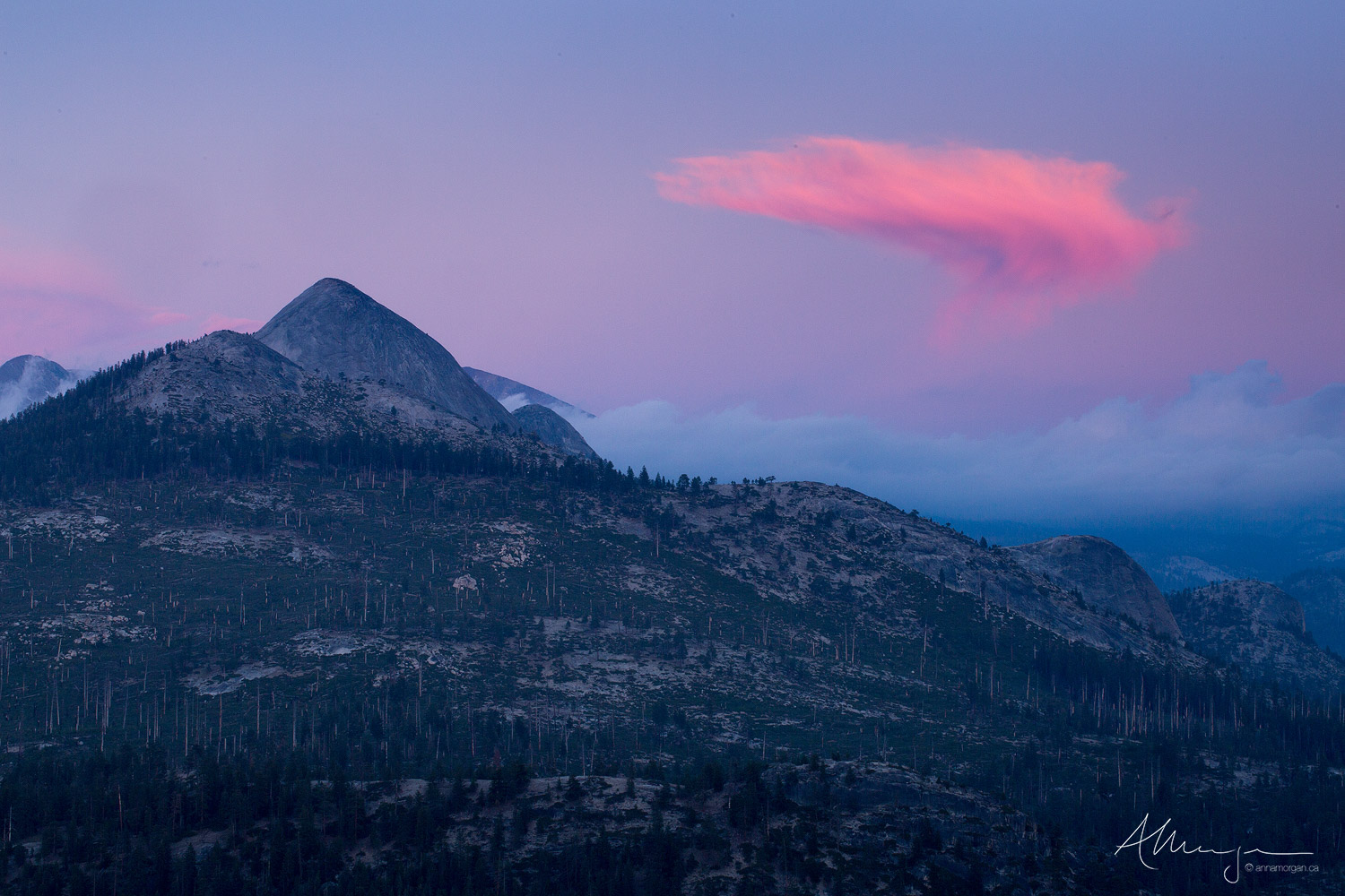 A sunset lit pink cloud appears to talk in communion with a mountain peak in Yosemite National Park.
