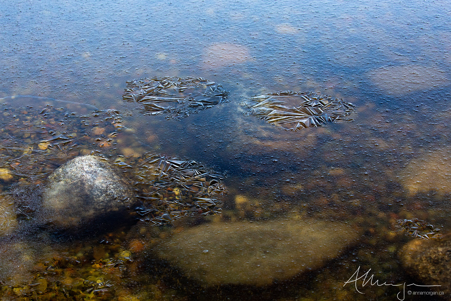 Thin ice at the edge of a loch creates interesting patterns