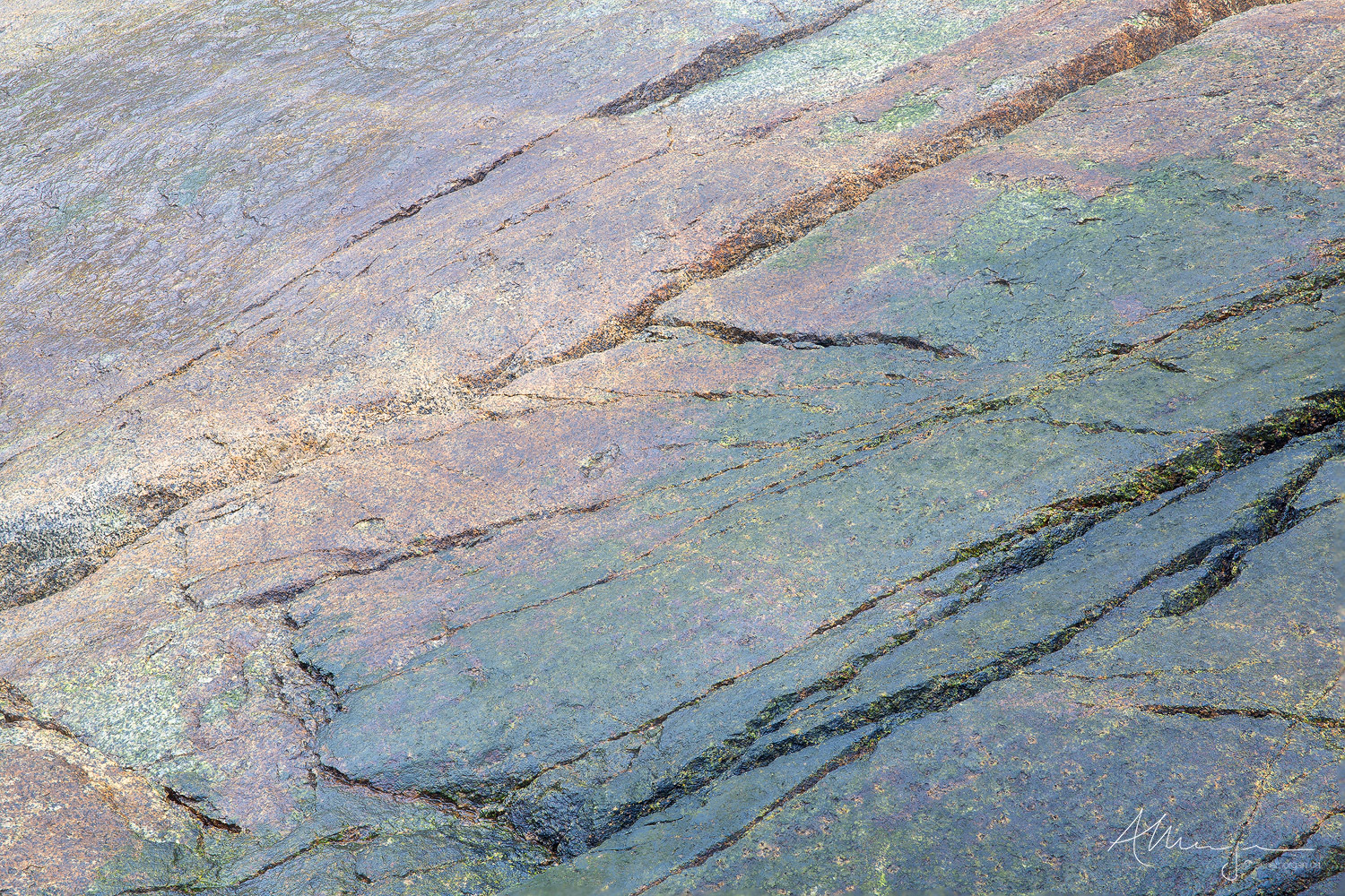 Iridescent colour on a large coastal boulder at təmtəmíxʷtən regional park.