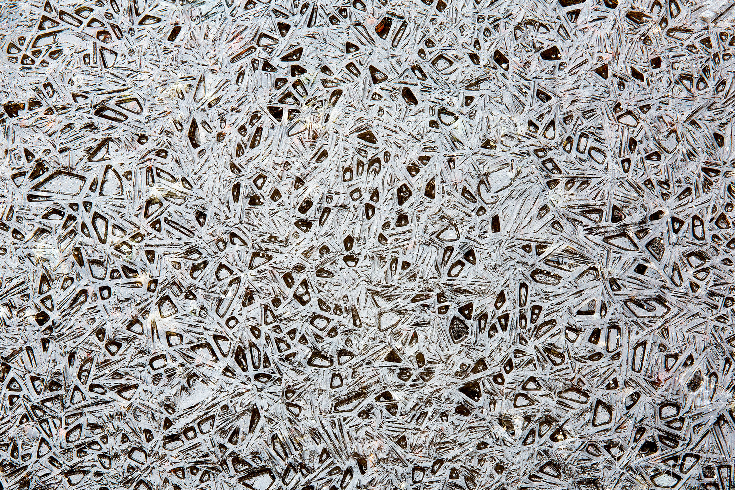 Lattice