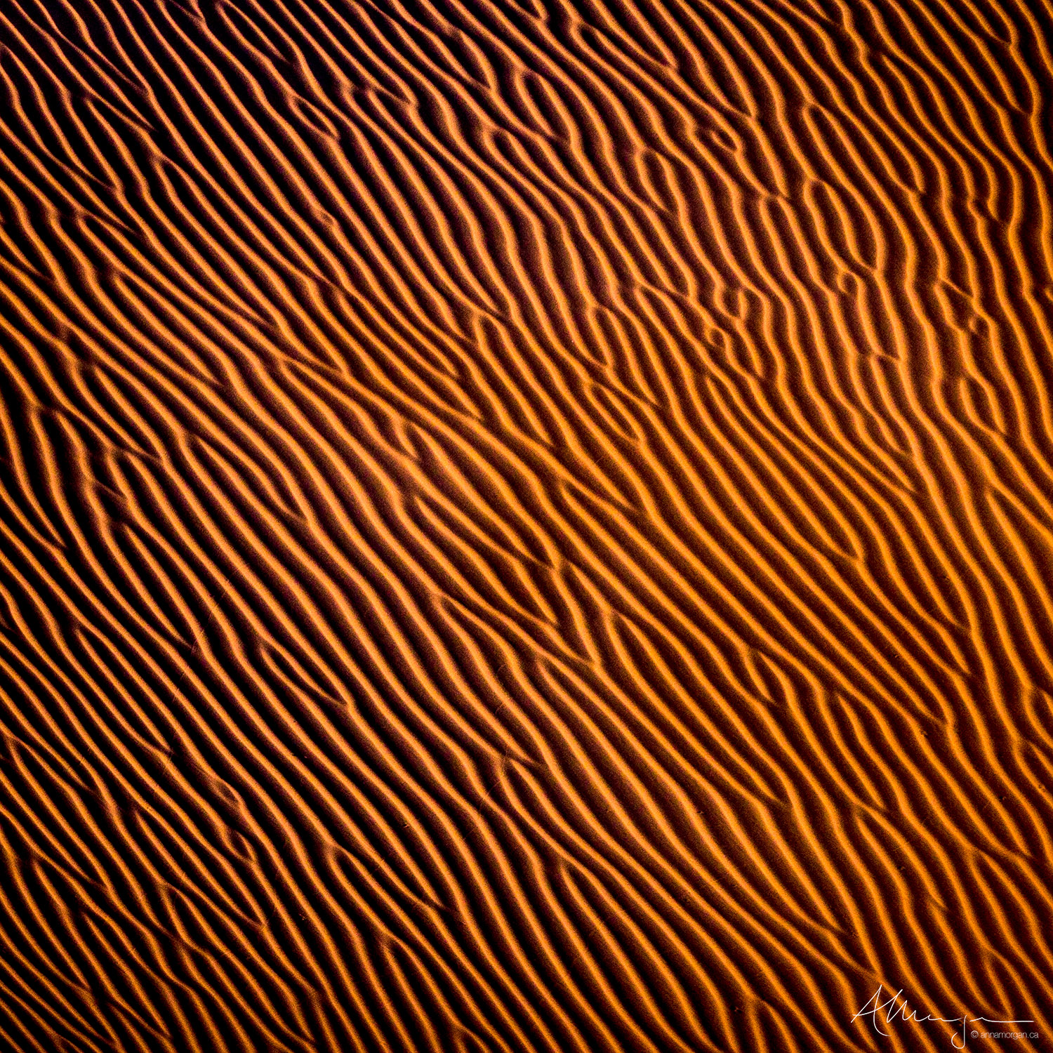 Psychedelia Strong contrasts of light and dark on a sand dune create the feeling of a psychedelic experience.