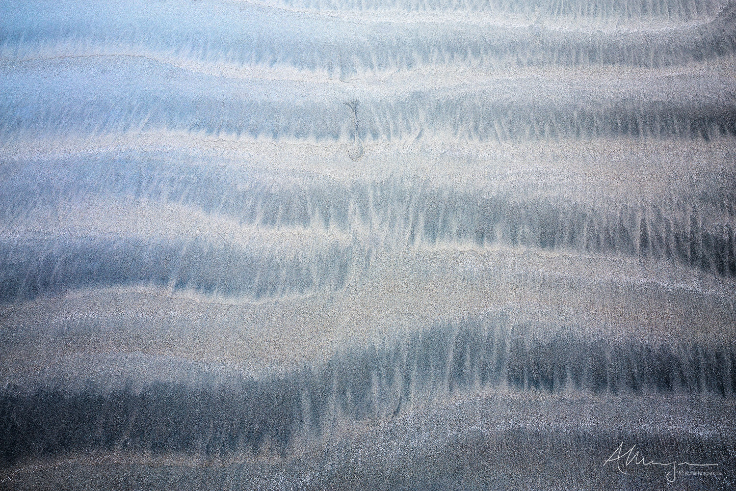 One lone tree pattern grounded on the beach amongst other patterns of darker and lighter sand in Tofino, British Columbia