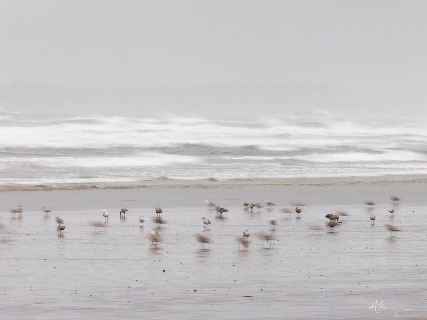 Echoes Of The Waves Echoes Of The Waves