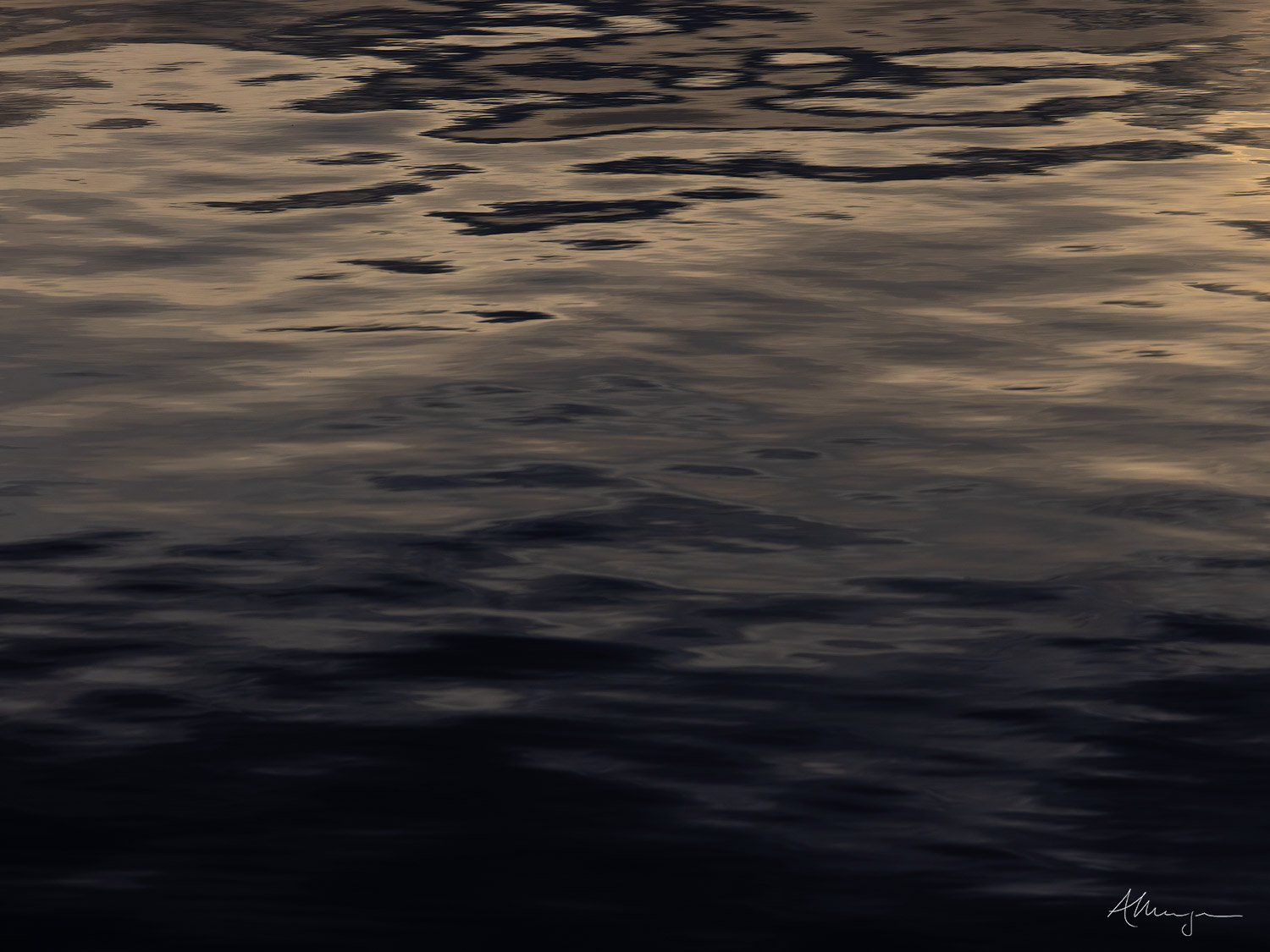 Inward Quiet Inward Quiet