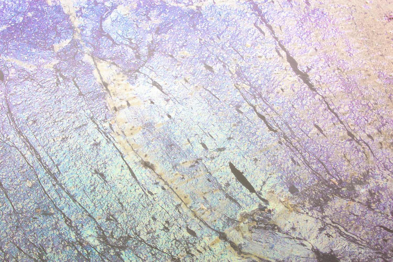 Shimmer