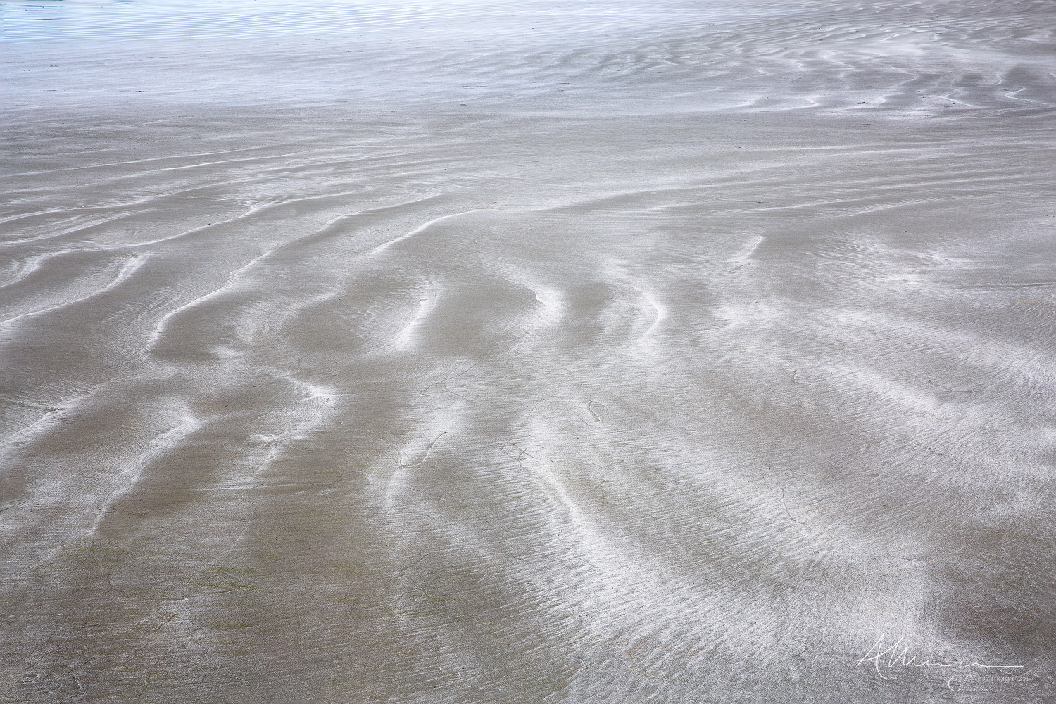 Wind and wave action leaves wonderful striations on the beach. 